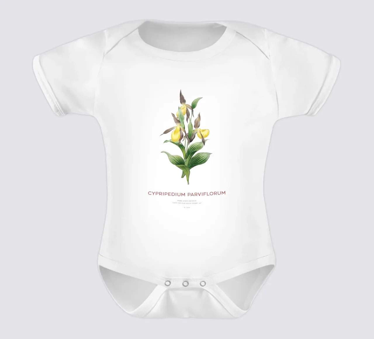 Gelber Frauenschuh oder Cypripedium Parviflorum Kurzarm Babybody von Vintagrafica
