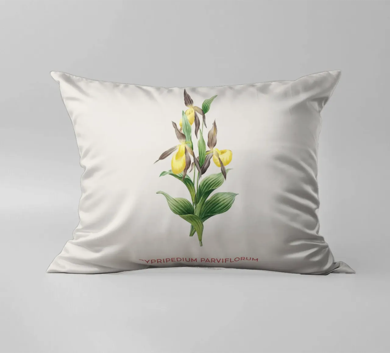 Scarpetta gialla o Cypripedium Parviflorum cuscino da Vintagrafica