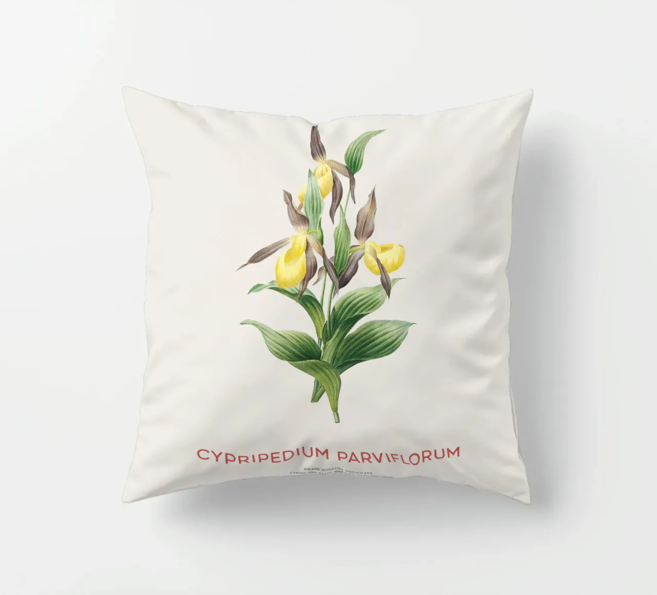 Scarpetta gialla o Cypripedium Parviflorum cuscino da Vintagrafica