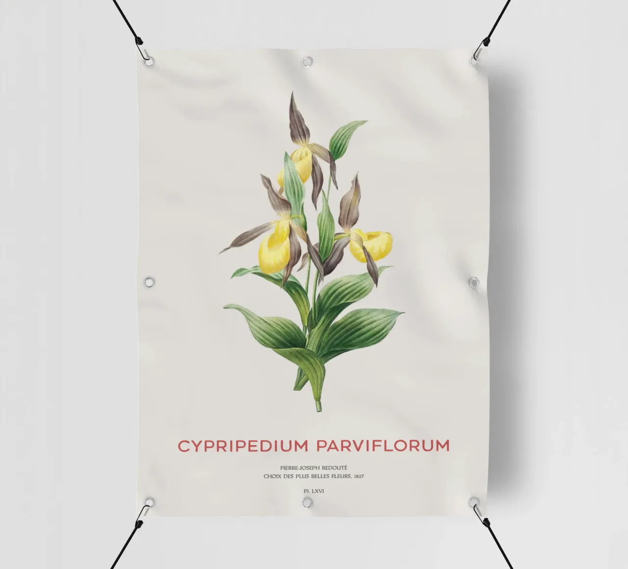 Scarpetta gialla o Cypripedium Parviflorum telo in pvc da Vintagrafica