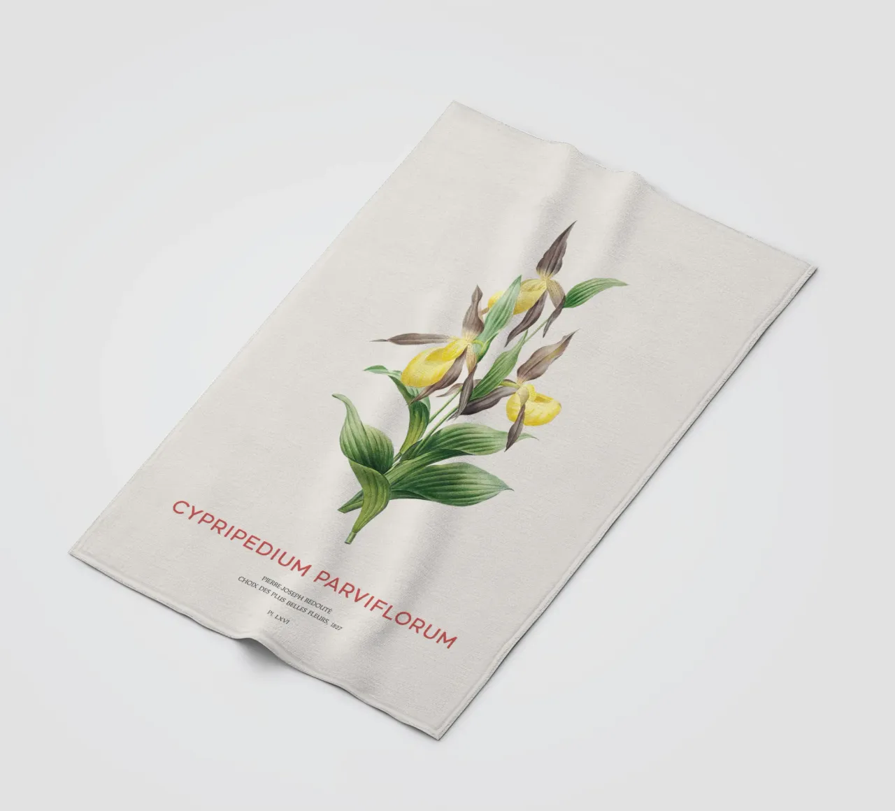 Scarpetta gialla o Cypripedium Parviflorum coperta in pile da Vintagrafica