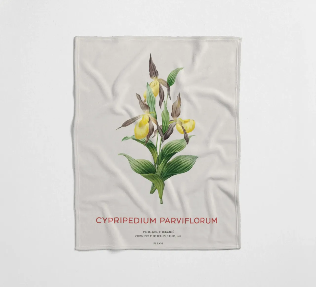 Scarpetta gialla o Cypripedium Parviflorum coperta in pile da Vintagrafica
