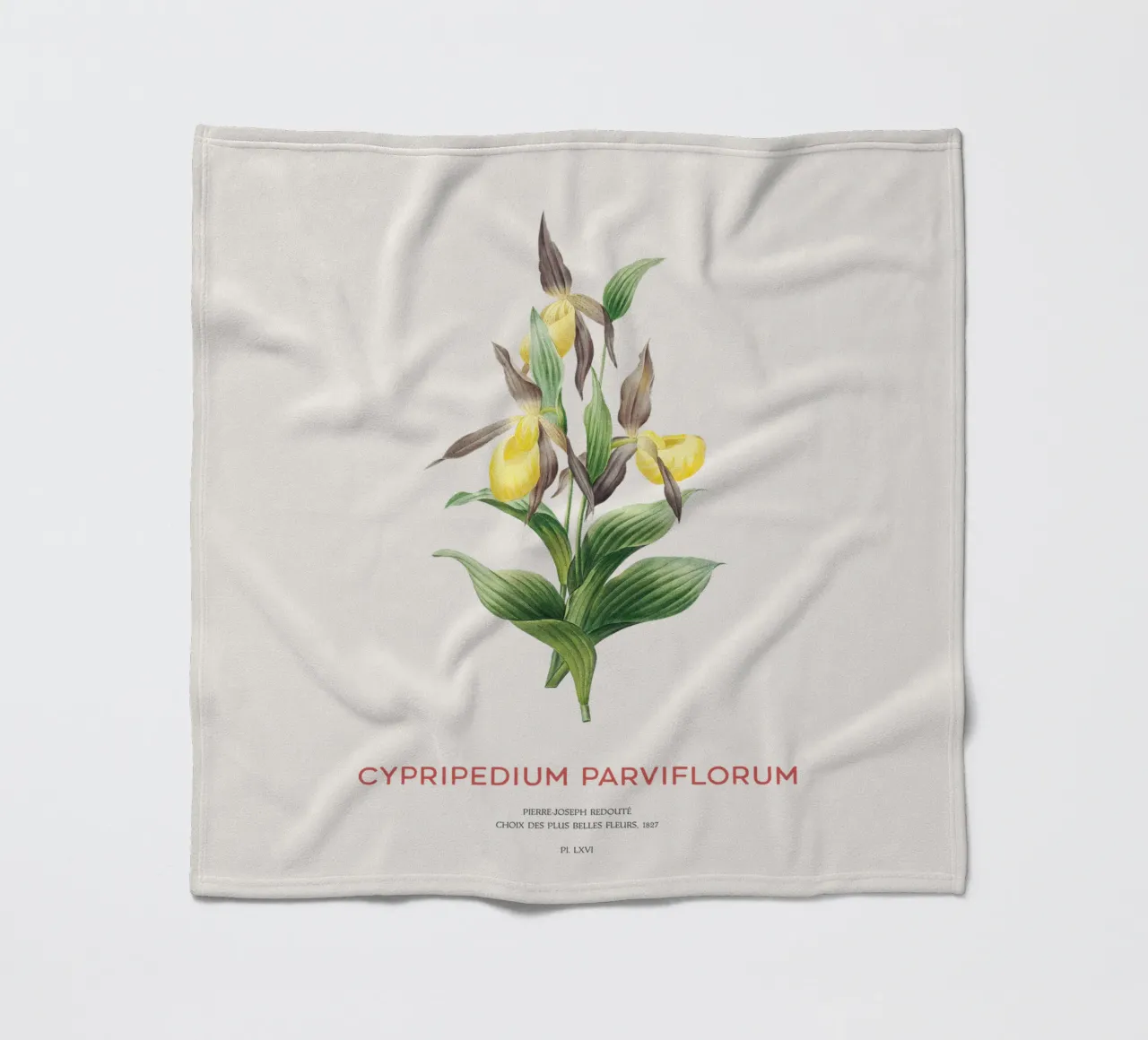 Scarpetta gialla o Cypripedium Parviflorum coperta in pile da Vintagrafica