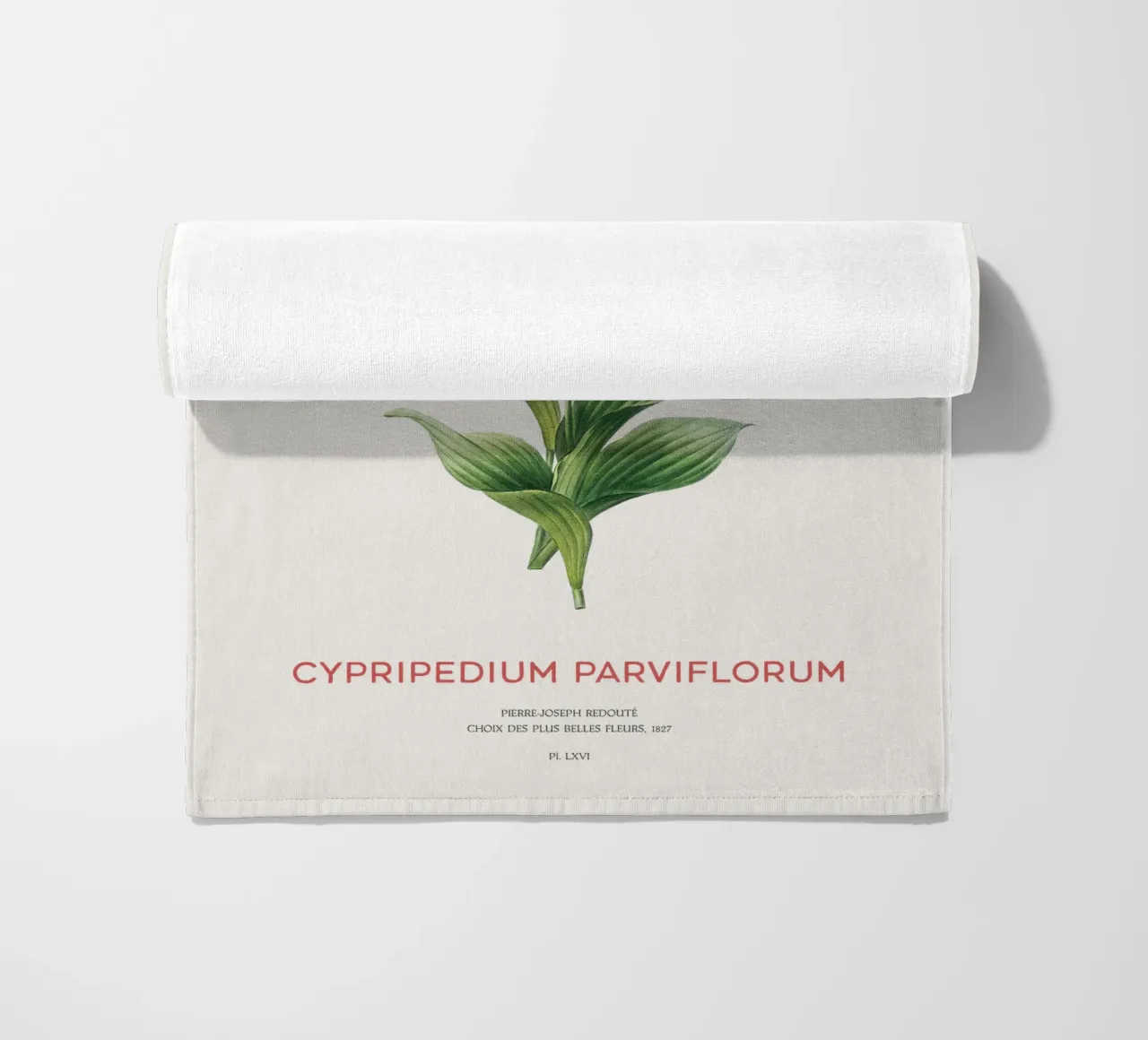Scarpetta gialla o Cypripedium Parviflorum telo mare da Vintagrafica