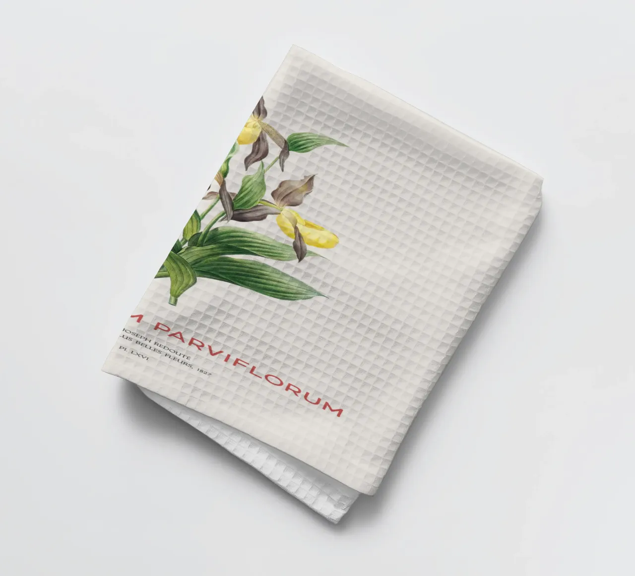 Cypripède jaune ou Cypripedium Parviflorum torchon de Vintagrafica