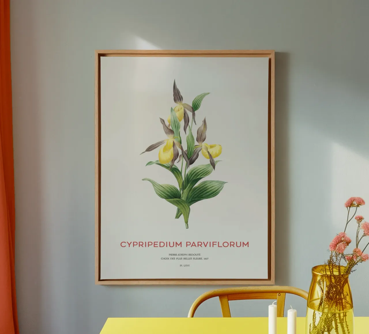 Yellow lady's slipper or Cypripedium Parviflorum canvas by Vintagrafica