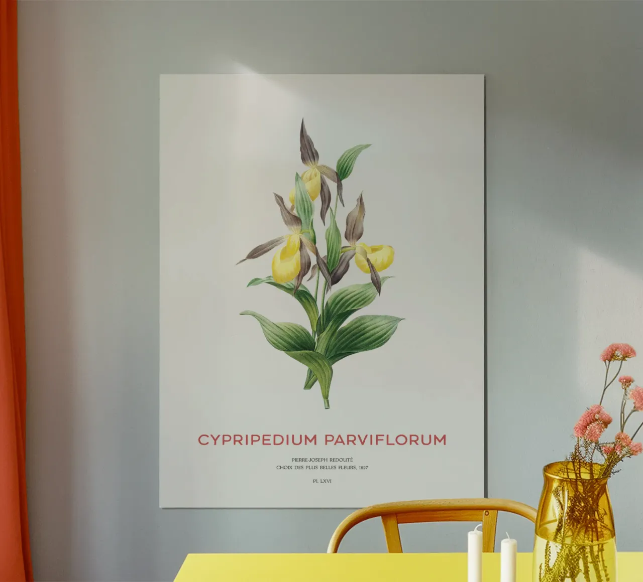 Scarpetta gialla o Cypripedium Parviflorum carta hahnemühle da Vintagrafica