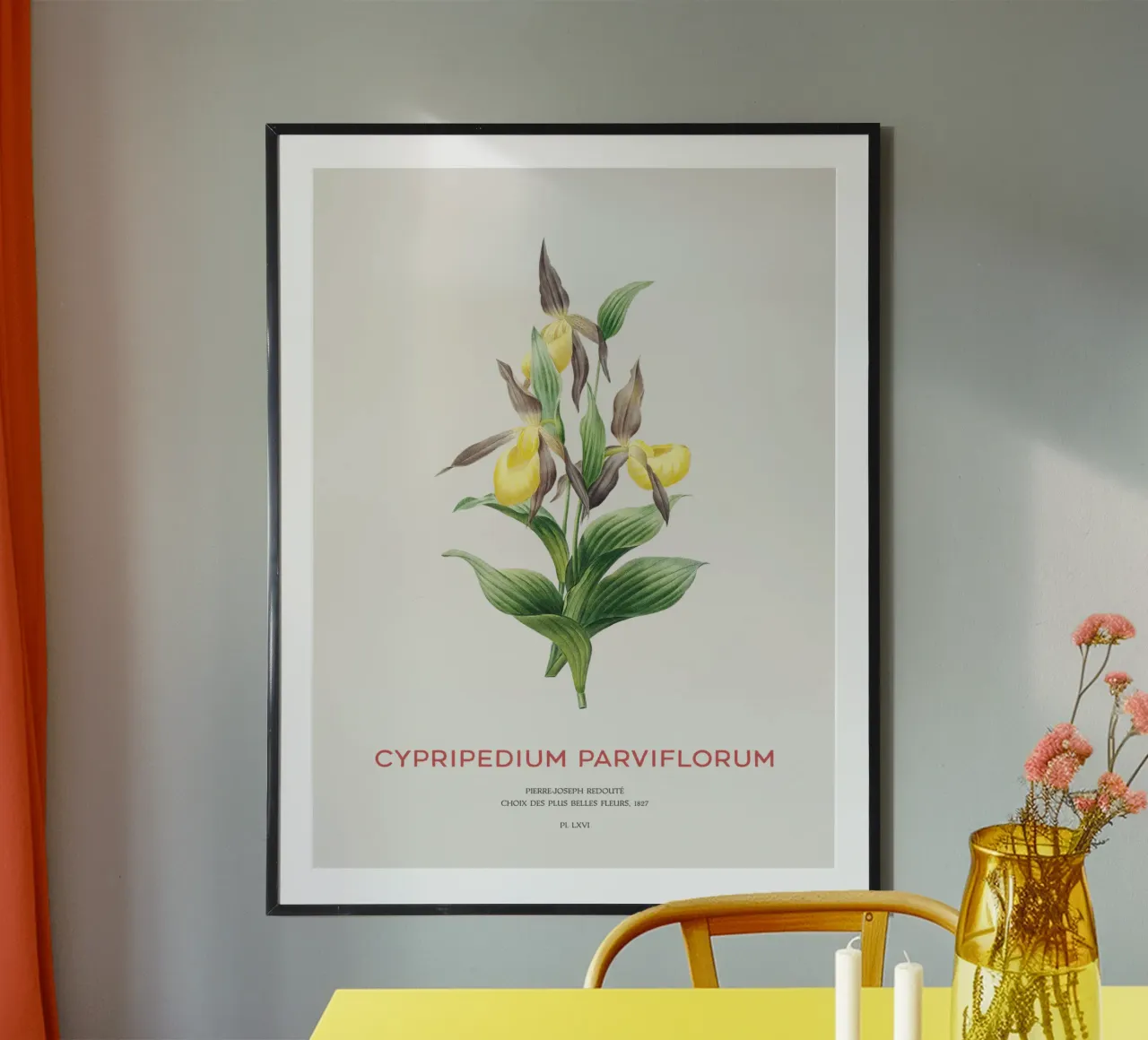 Scarpetta gialla o Cypripedium Parviflorum carta hahnemühle da Vintagrafica