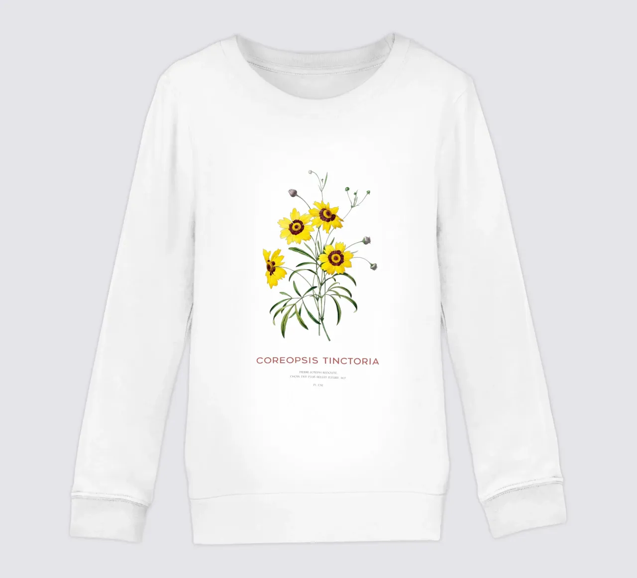 Coreopsis delle pianure o Coreopsis tinctoria felpa bambino da Vintagrafica