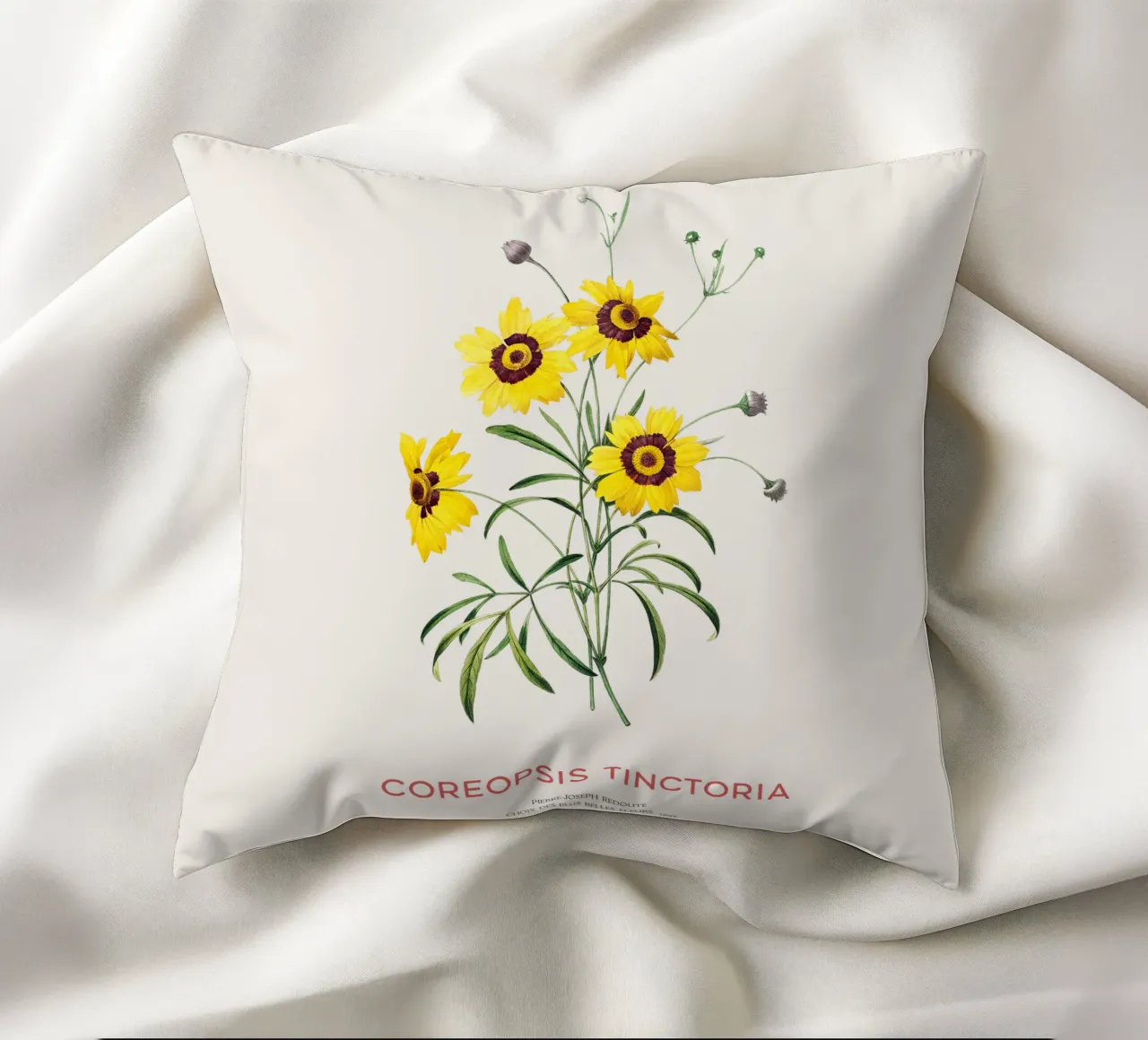 Coreopsis delle pianure o Coreopsis tinctoria cuscino da Vintagrafica