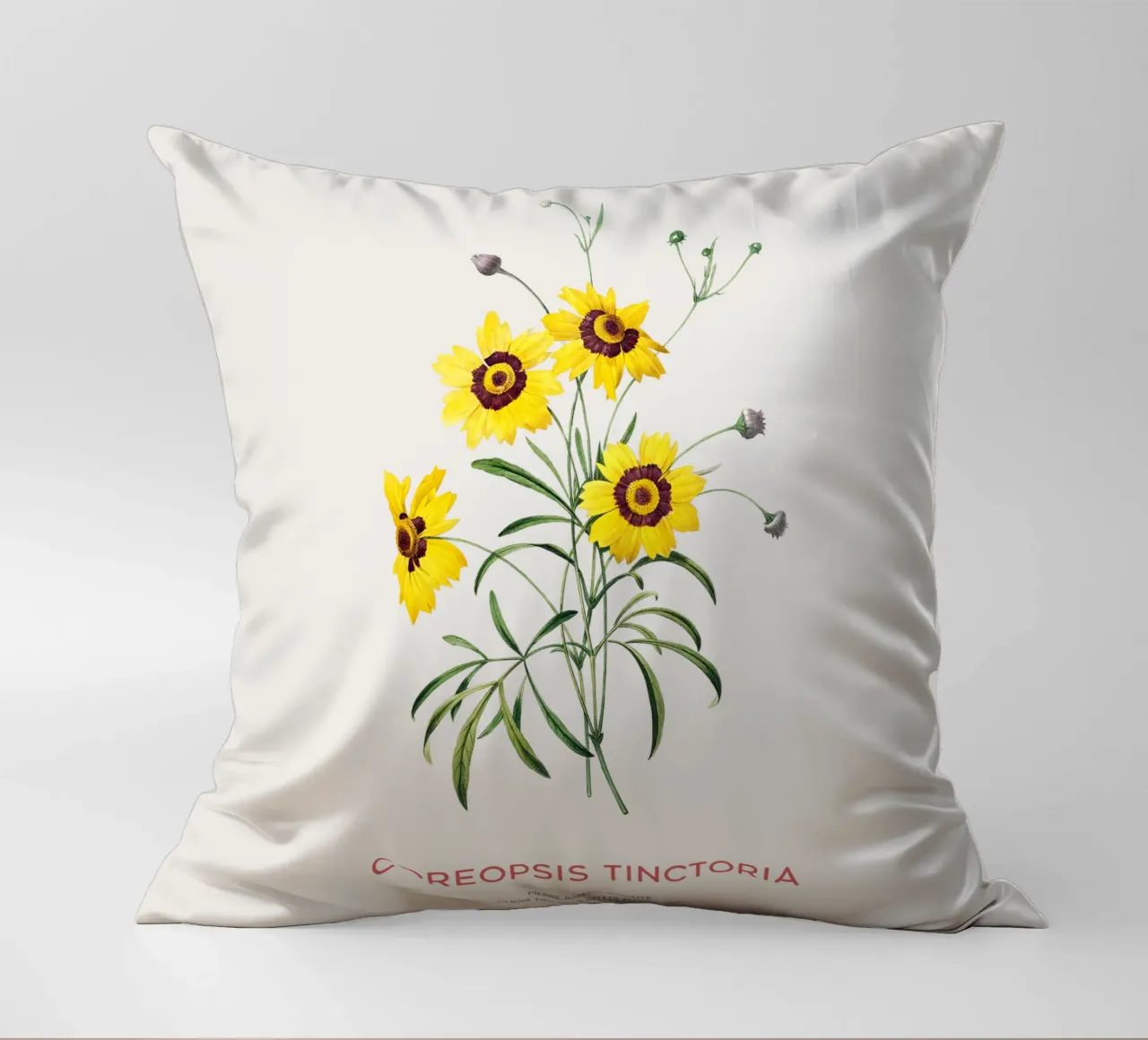 Coreopsis delle pianure o Coreopsis tinctoria cuscino da Vintagrafica