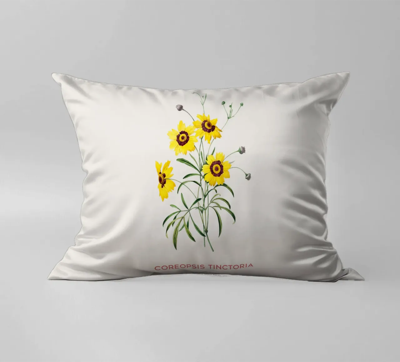 Coreopsis delle pianure o Coreopsis tinctoria cuscino da Vintagrafica
