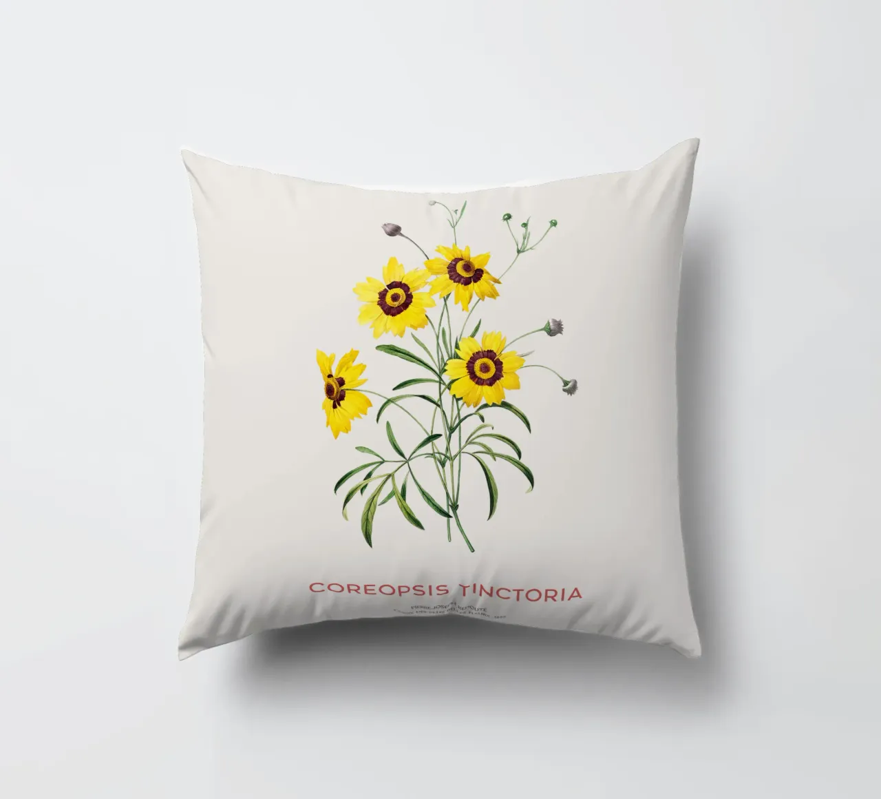 Coreopsis delle pianure o Coreopsis tinctoria cuscino da Vintagrafica