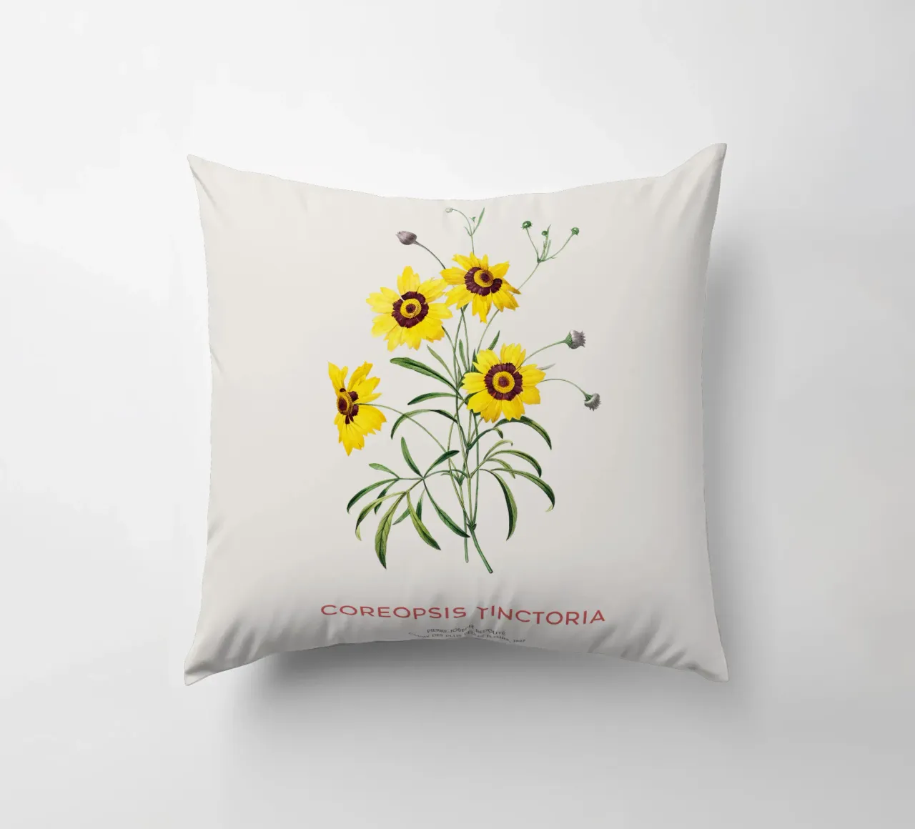 Coreopsis delle pianure o Coreopsis tinctoria cuscino da Vintagrafica