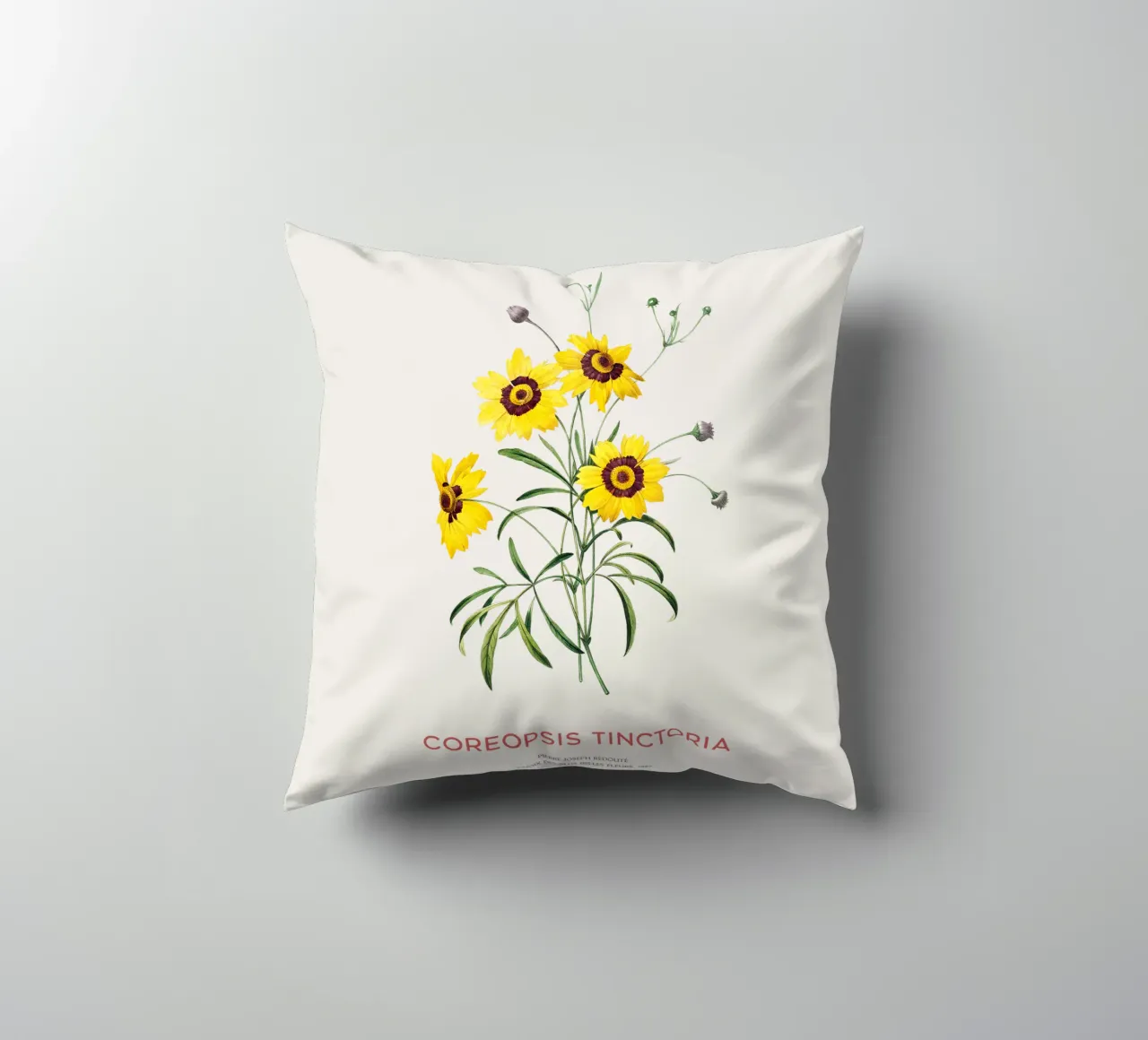 Coreopsis delle pianure o Coreopsis tinctoria cuscino da Vintagrafica