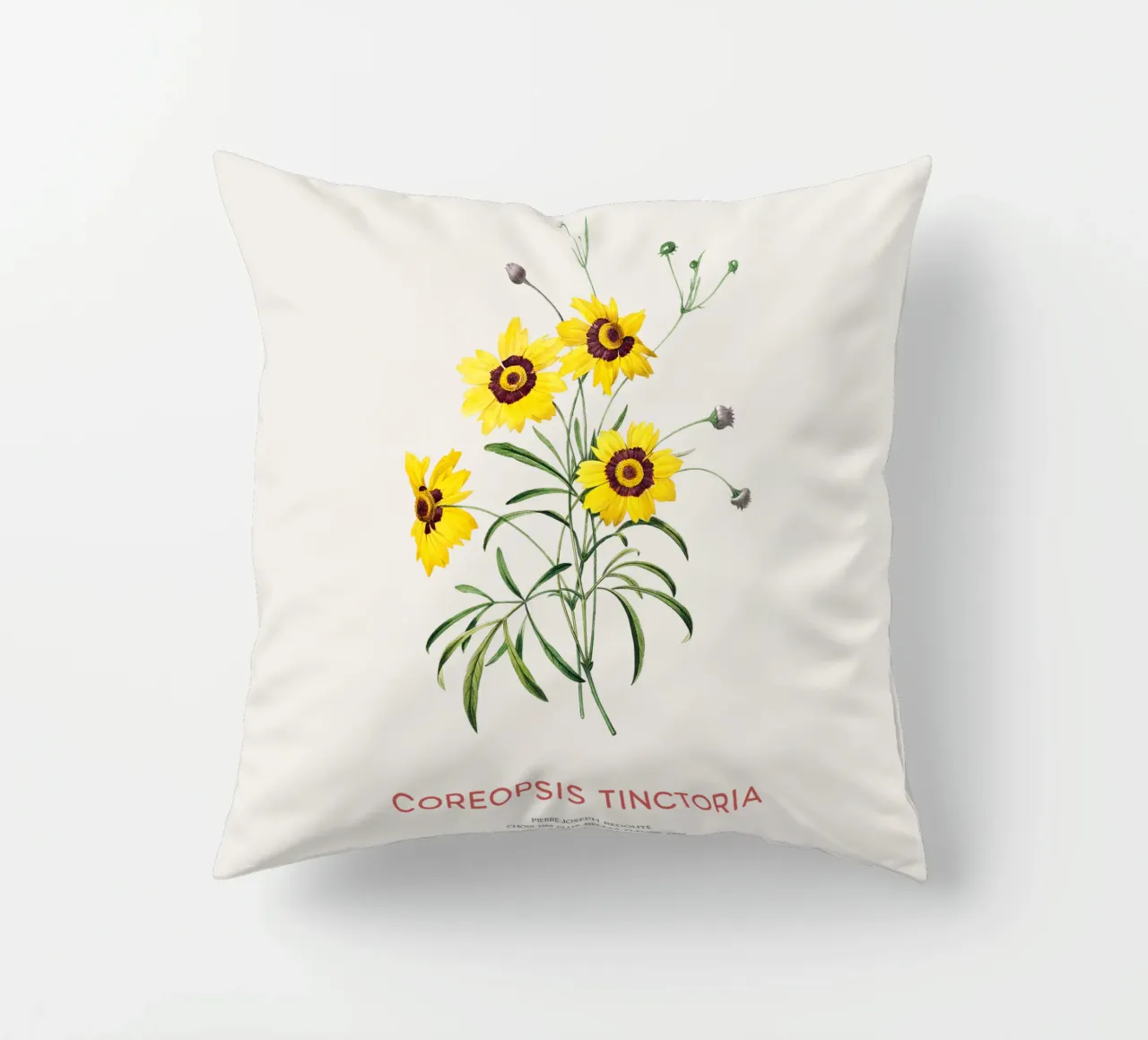 Coreopsis delle pianure o Coreopsis tinctoria cuscino da Vintagrafica