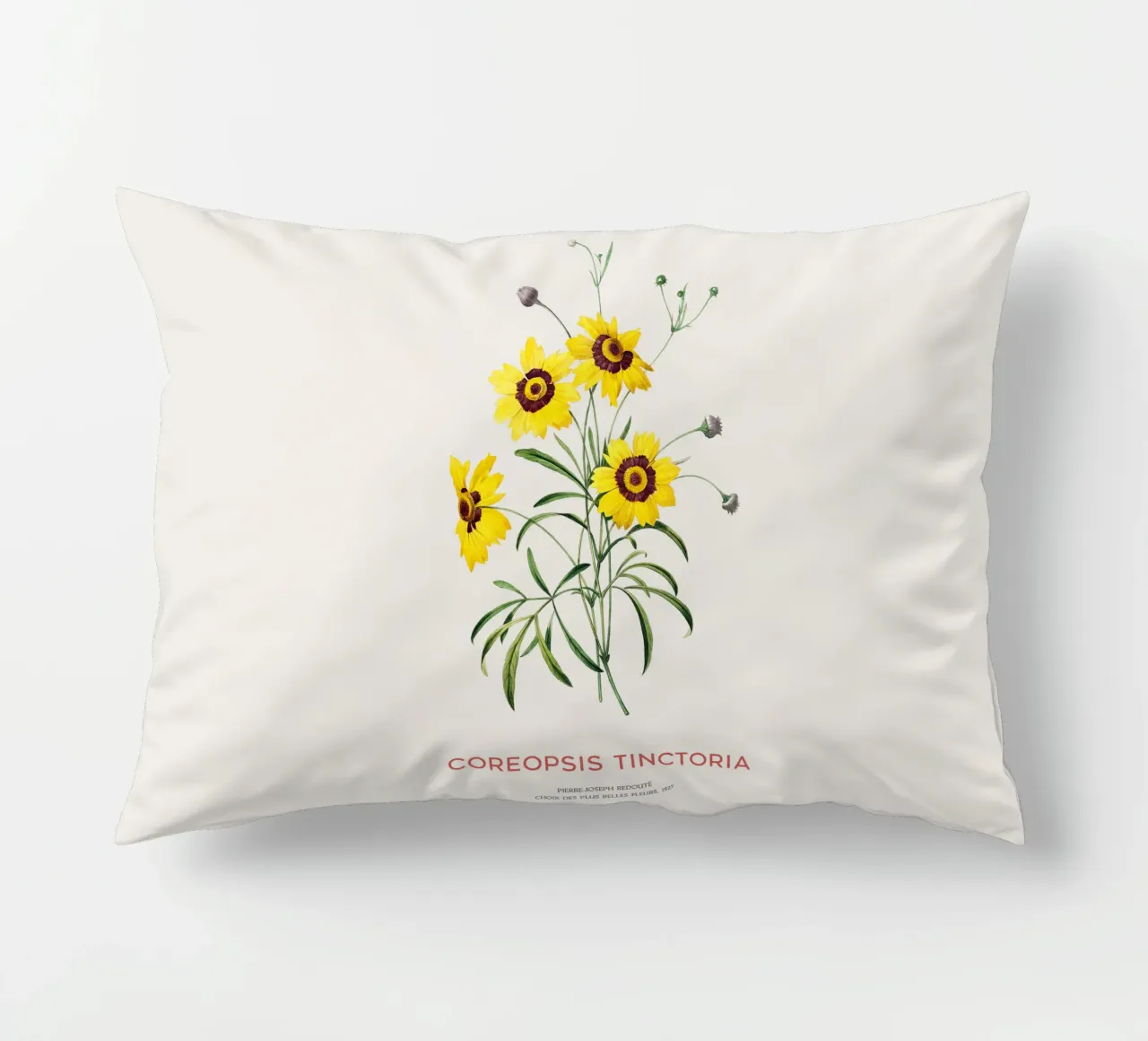 Coreopsis delle pianure o Coreopsis tinctoria cuscino da Vintagrafica