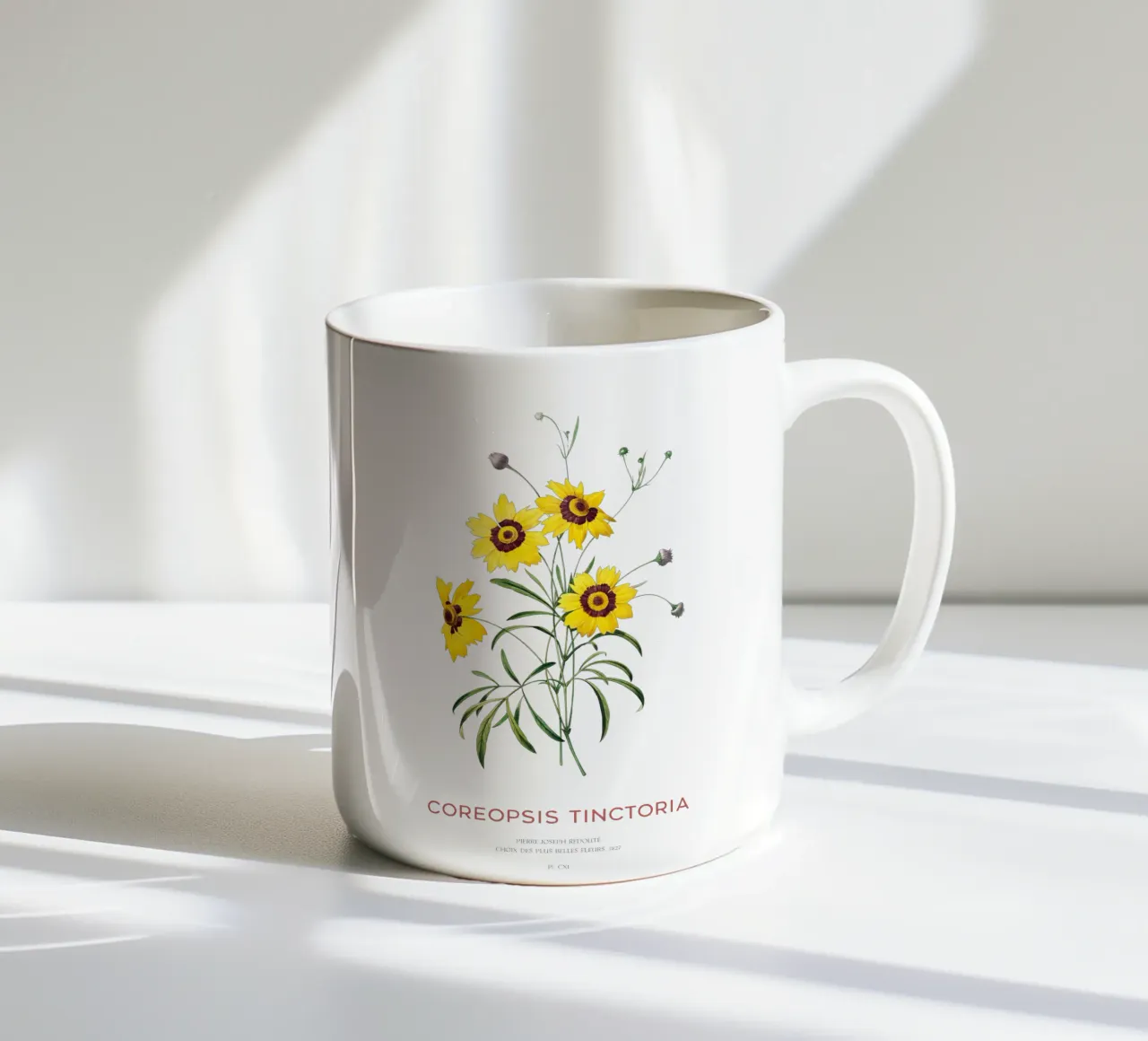 Coreopsis delle pianure o Coreopsis tinctoria tazza in ceramica da Vintagrafica