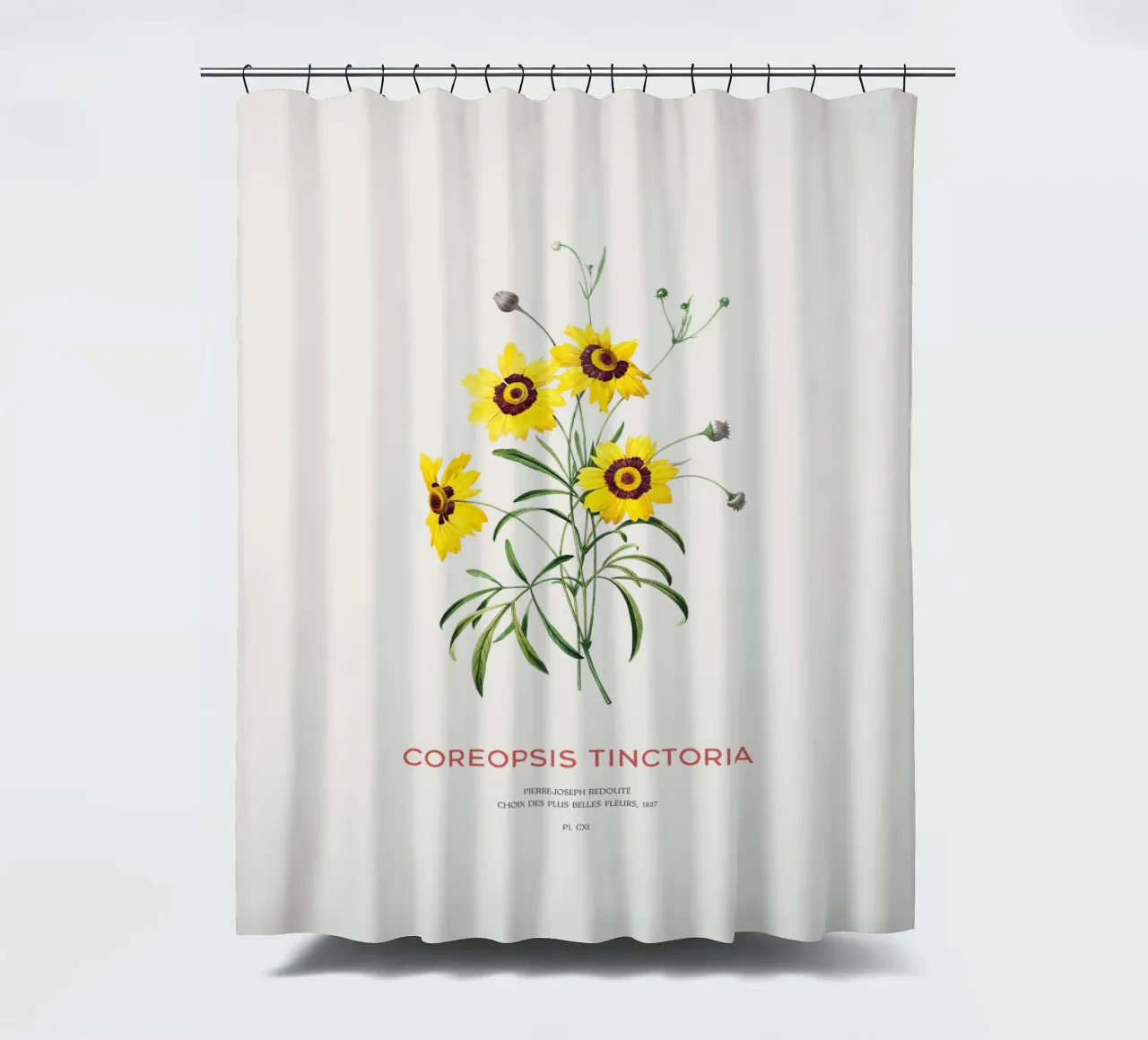 Plains coreopsis or Coreopsis Tinctoria shower curtain by Vintagrafica