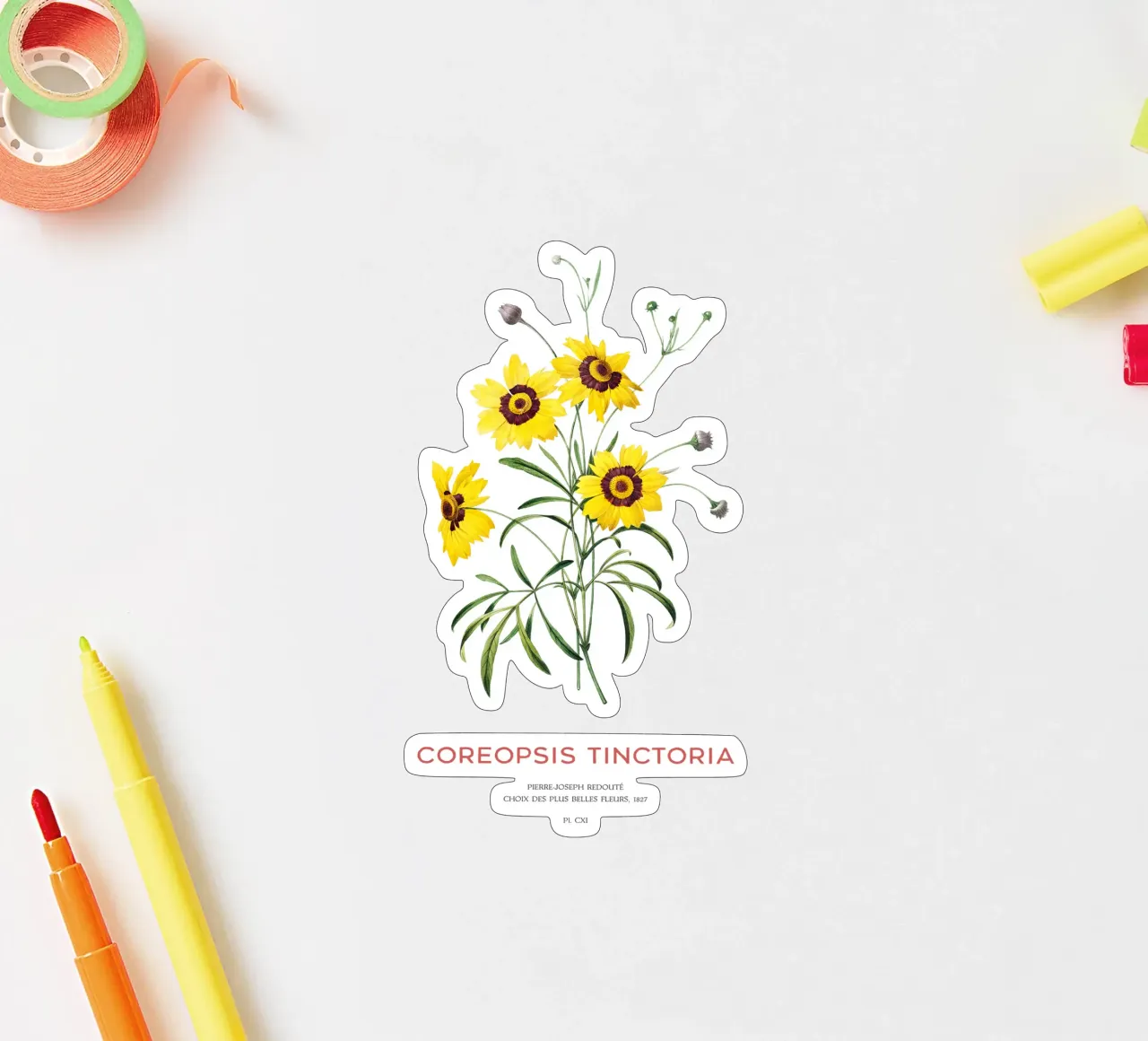 Coreopsis des plaines ou Coreopsis Tinctoria autocollant de Vintagrafica