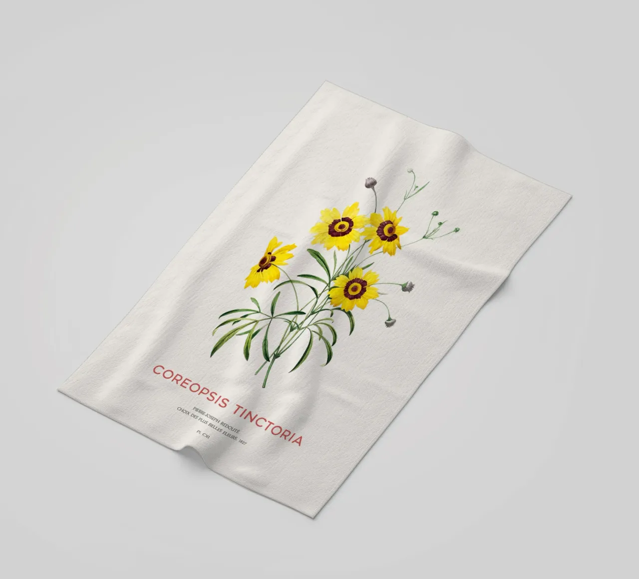 Coreopsis delle pianure o Coreopsis tinctoria telo mare da Vintagrafica