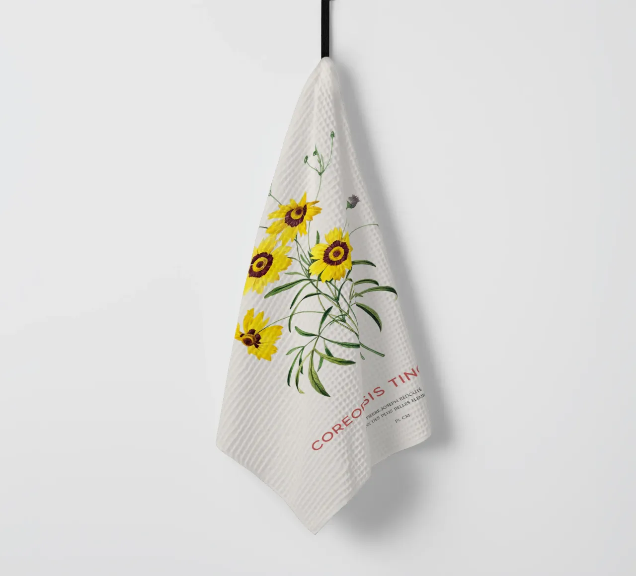 Coreopsis delle pianure o Coreopsis tinctoria canovaccio da cucina da Vintagrafica