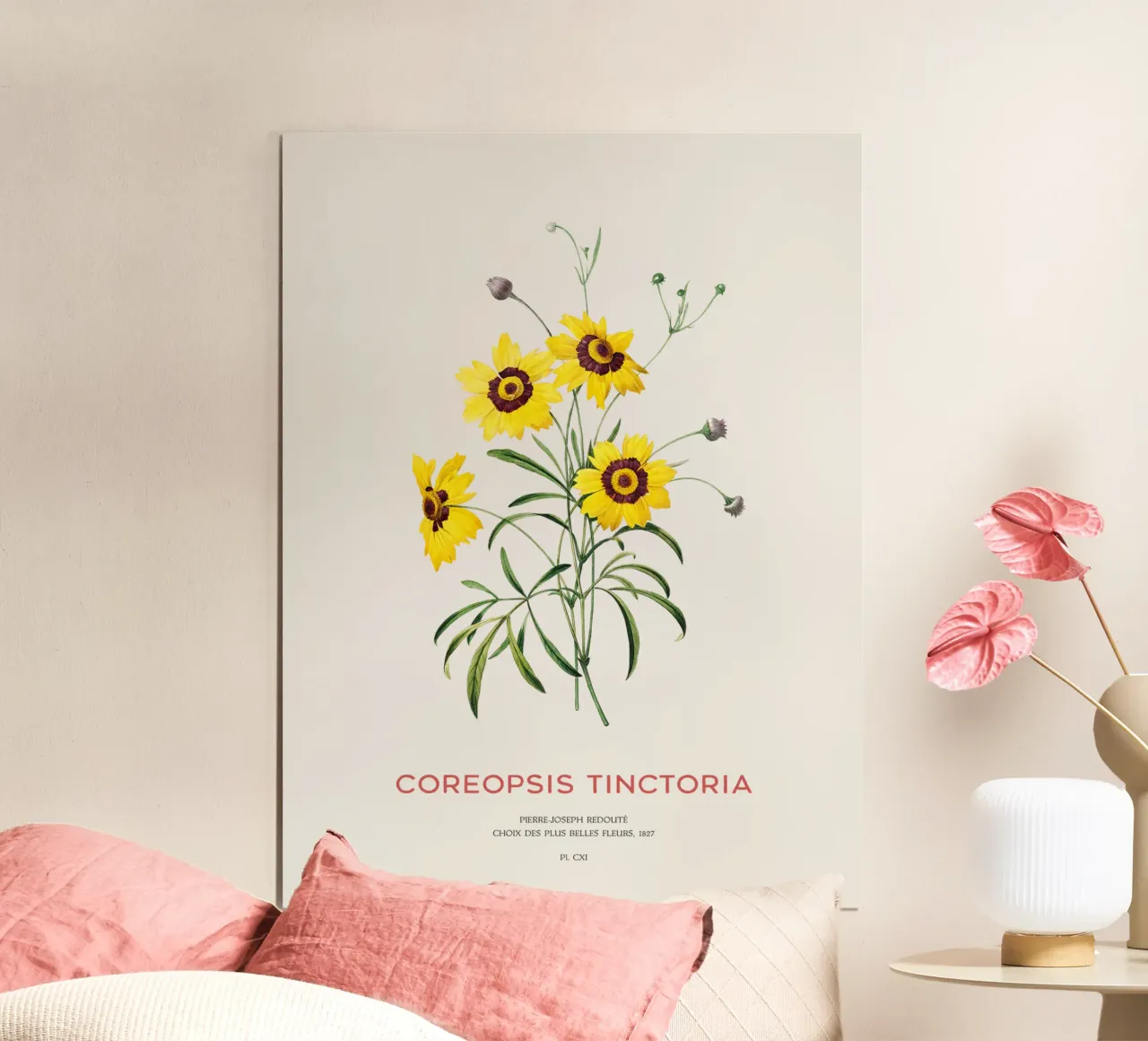 Coreopsis delle pianure o Coreopsis tinctoria carta hahnemühle da Vintagrafica