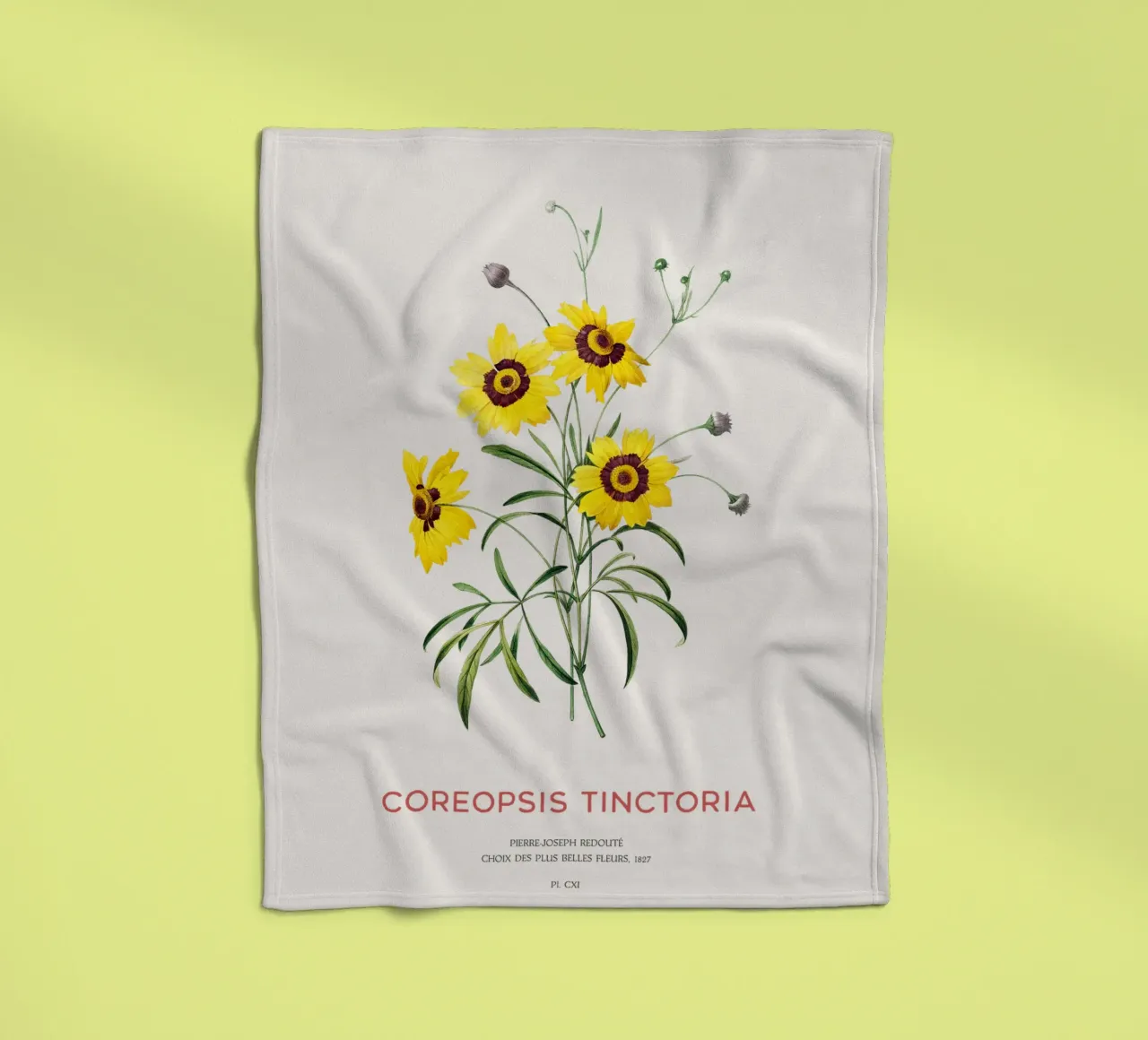 Coreopsis delle pianure o Coreopsis tinctoria coperta in pile da Vintagrafica