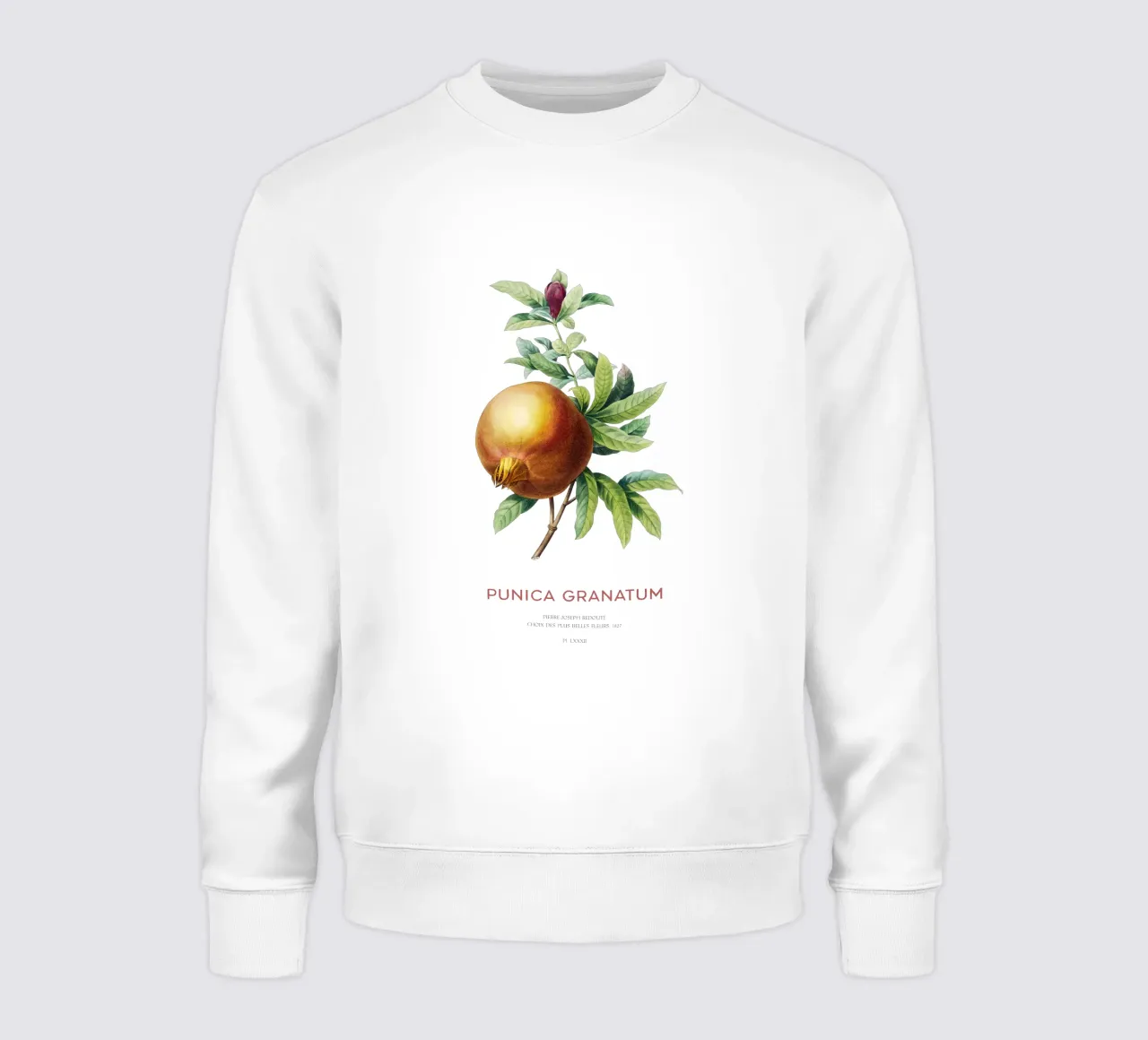 Granatapfel oder Punica Granatum Sweatshirt von Vintagrafica