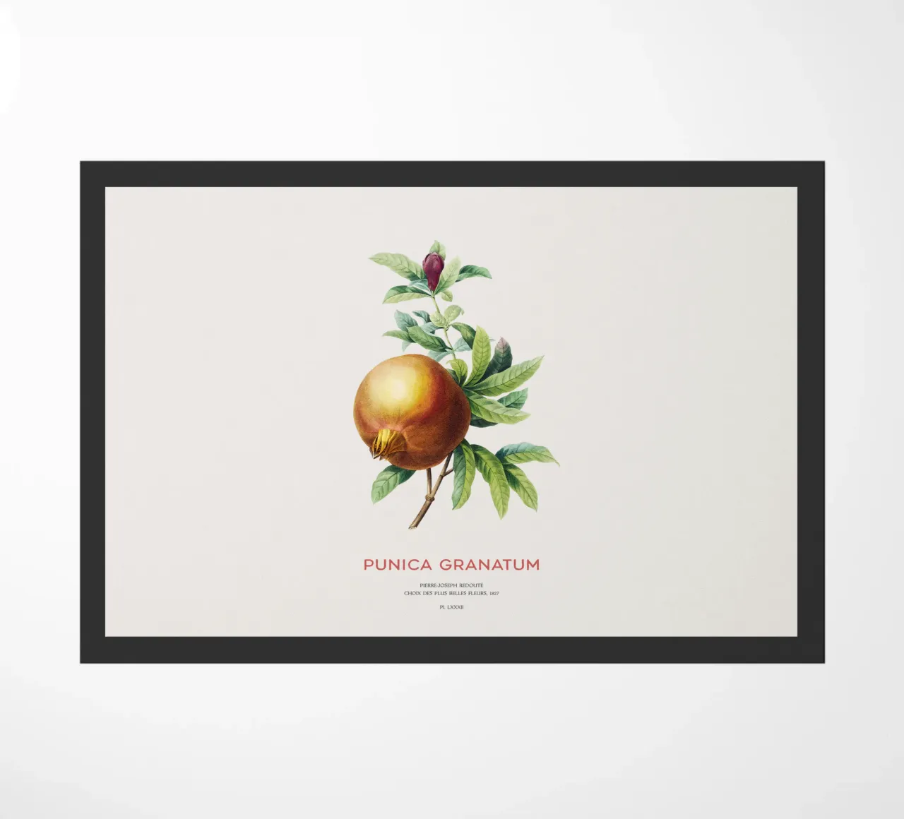 Grenade ou Punica Granatum paillasson de Vintagrafica