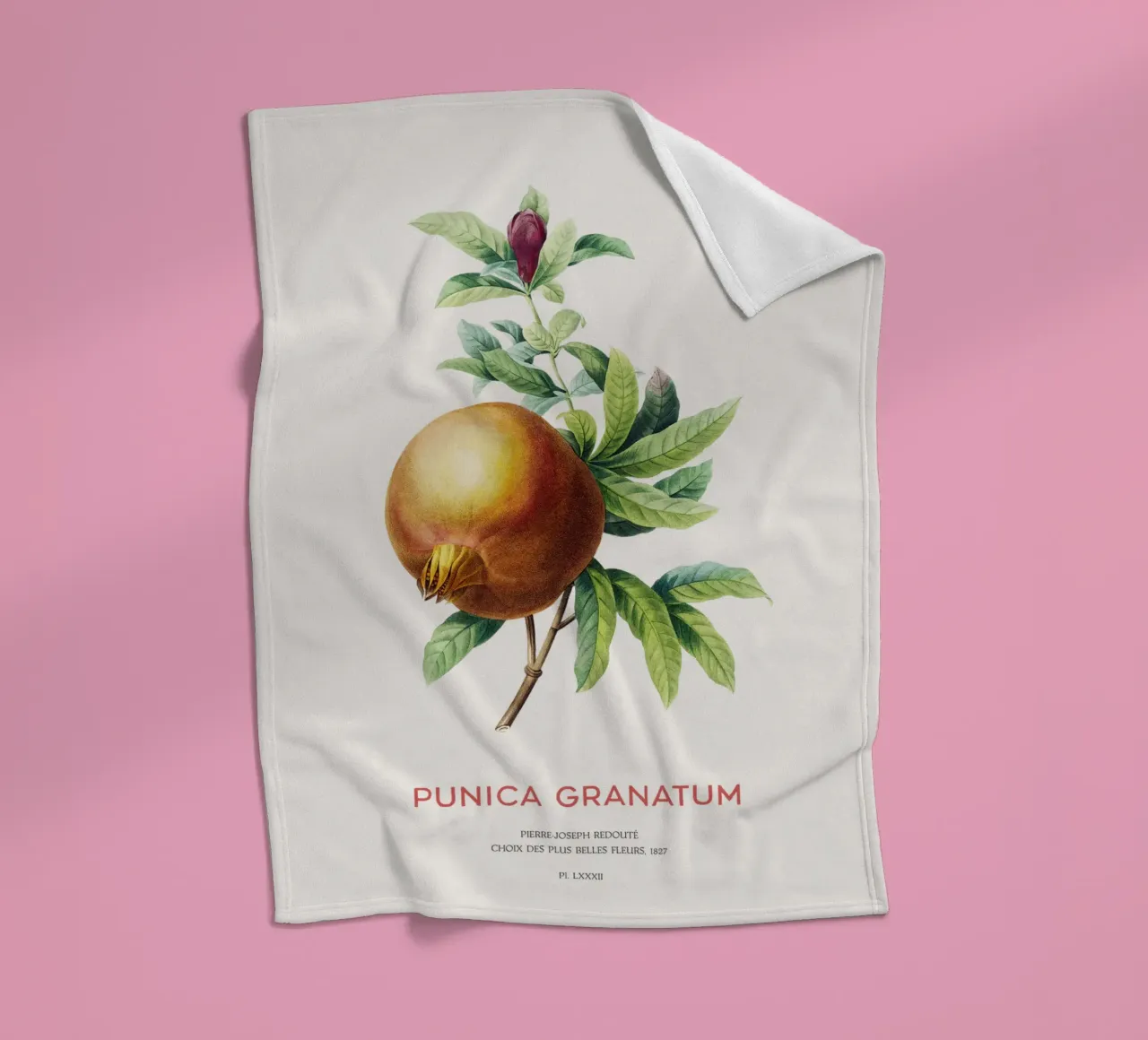 Granatapfel oder Punica Granatum Fleecedecke von Vintagrafica