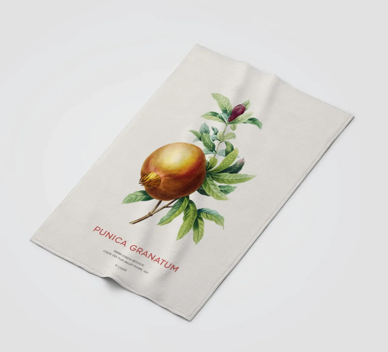 Granatapfel oder Punica Granatum Fleecedecke von Vintagrafica