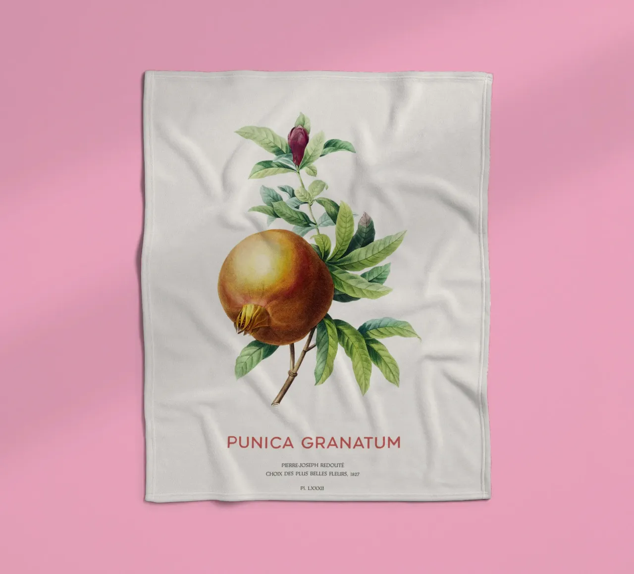 Granatapfel oder Punica Granatum Fleecedecke von Vintagrafica