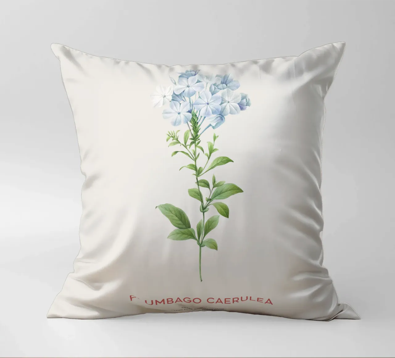 Piombo o Plumbago Caerulea cuscino da Vintagrafica