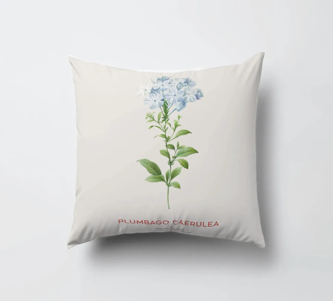 Piombo o Plumbago Caerulea cuscino da Vintagrafica