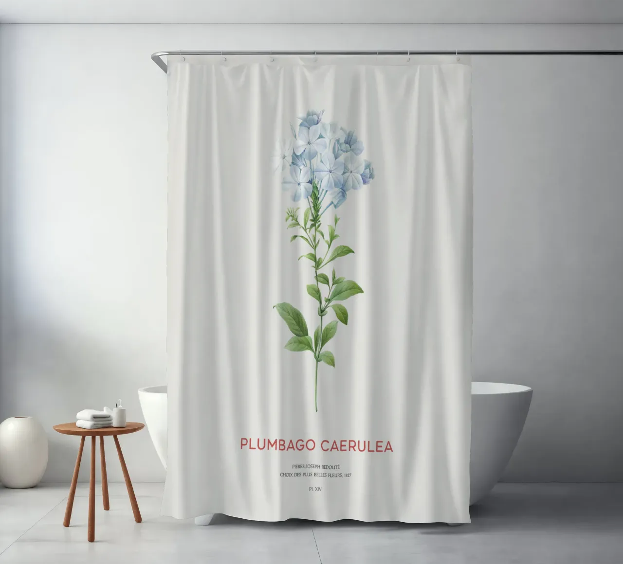 Bleiwurz oder Plumbago Caerulea Duschvorhang von Vintagrafica