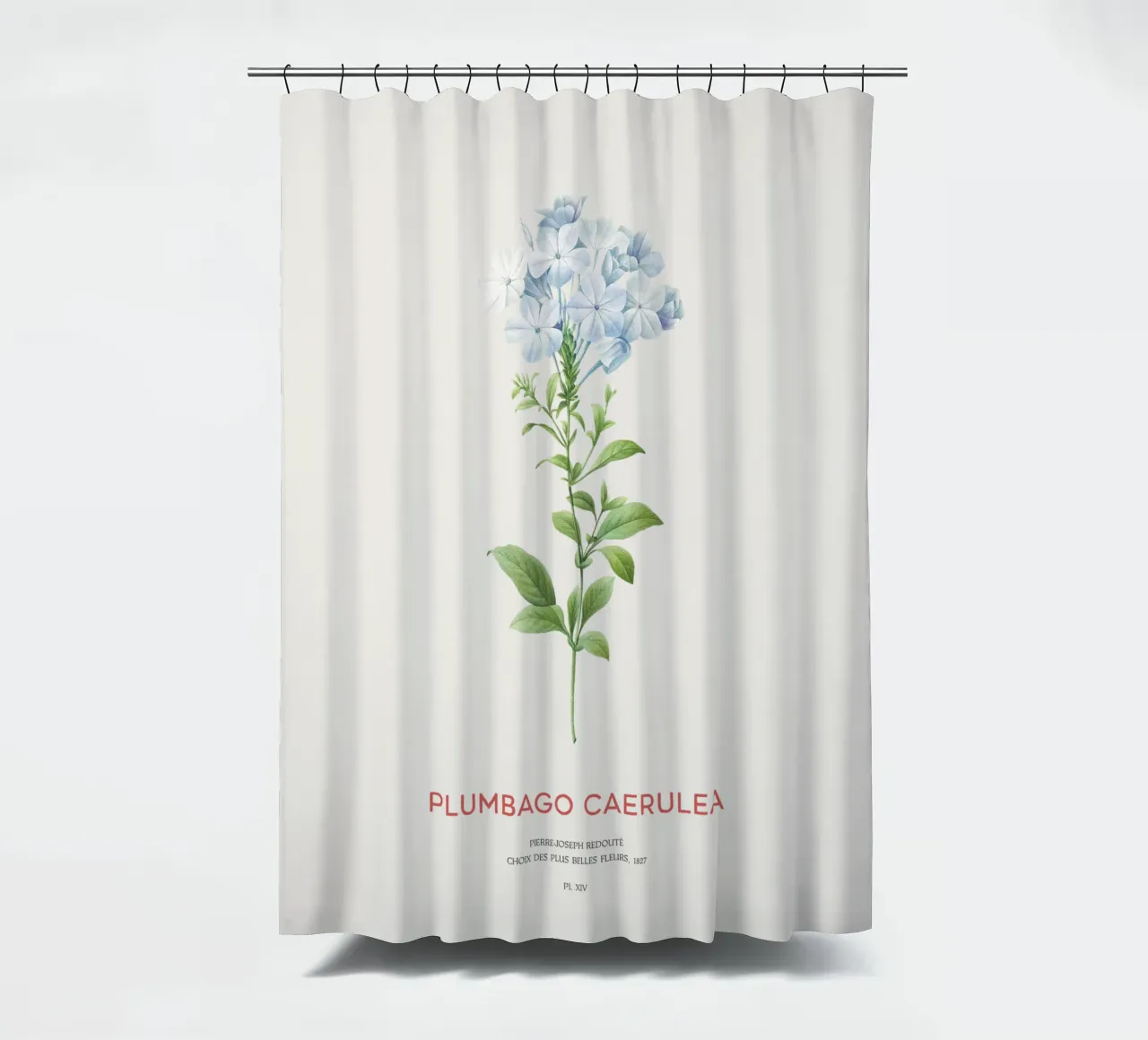 Bleiwurz oder Plumbago Caerulea Duschvorhang von Vintagrafica