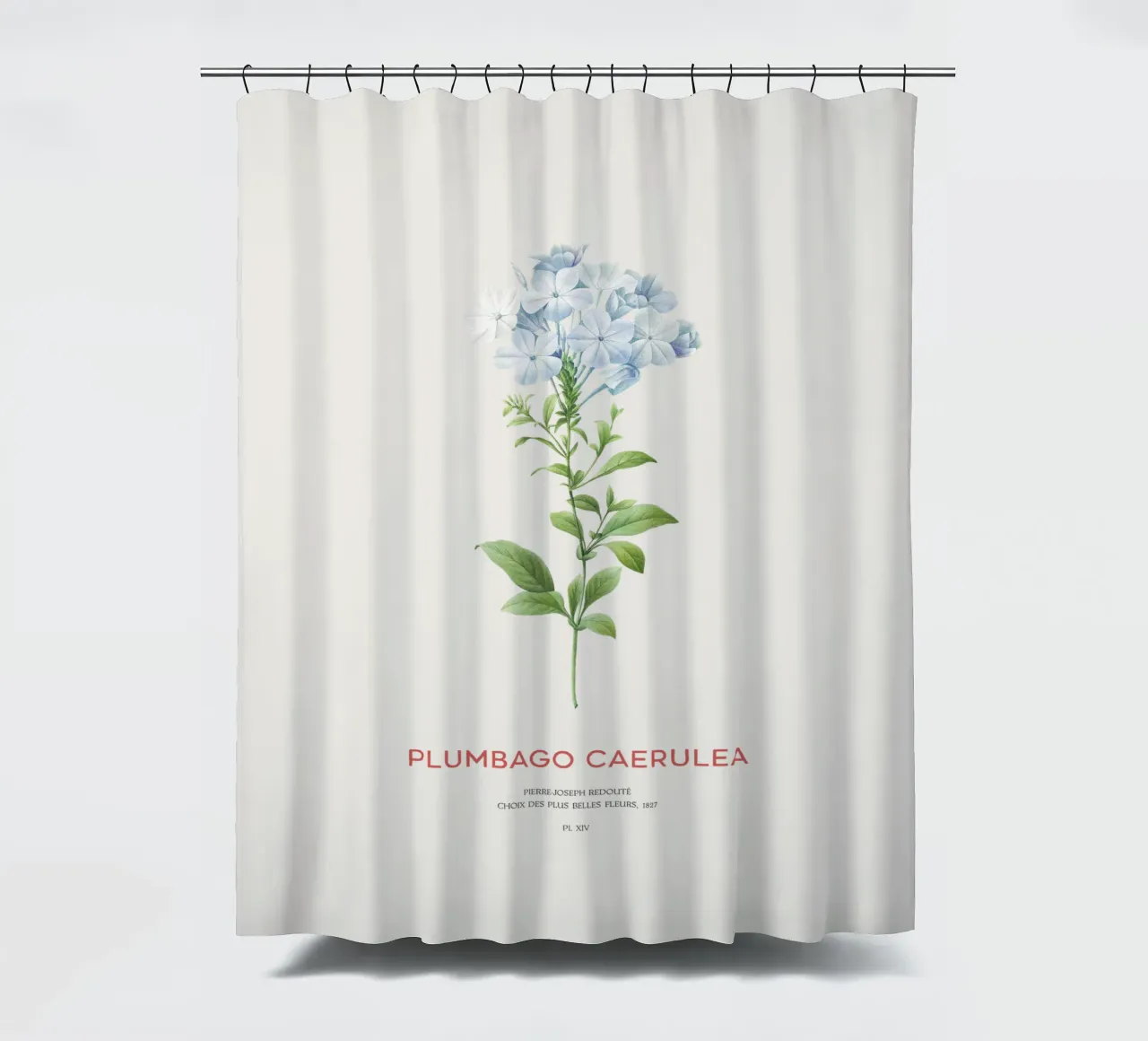 Bleiwurz oder Plumbago Caerulea Duschvorhang von Vintagrafica