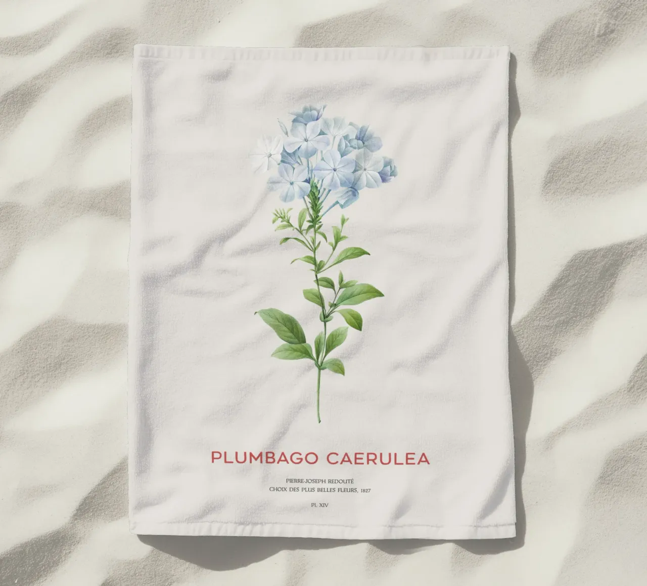 Piombo o Plumbago Caerulea telo mare da Vintagrafica