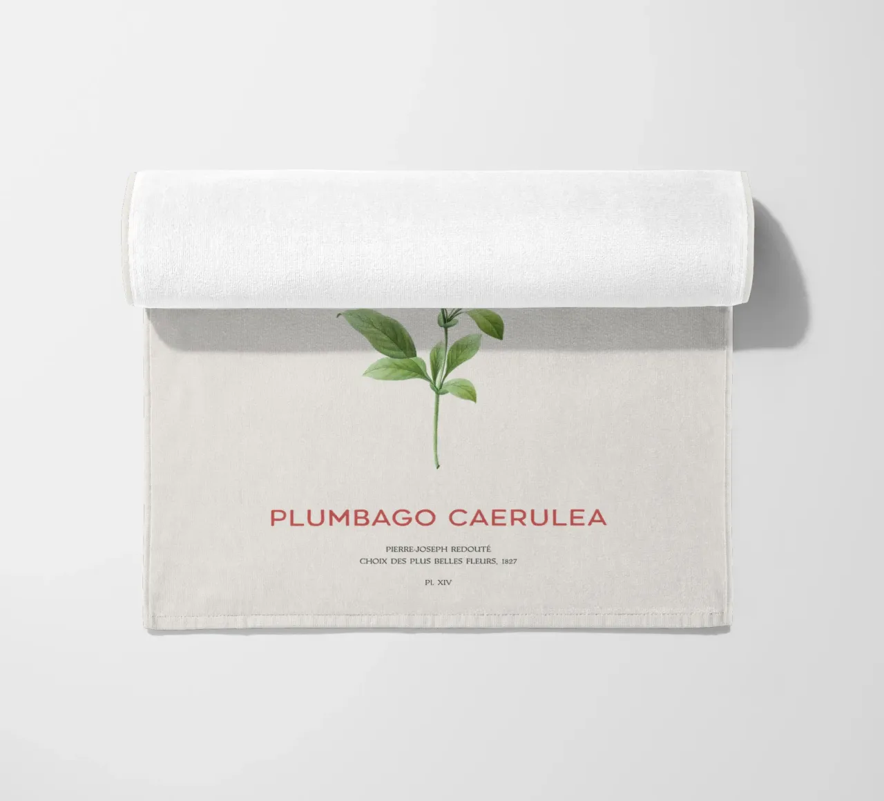 Piombo o Plumbago Caerulea telo mare da Vintagrafica
