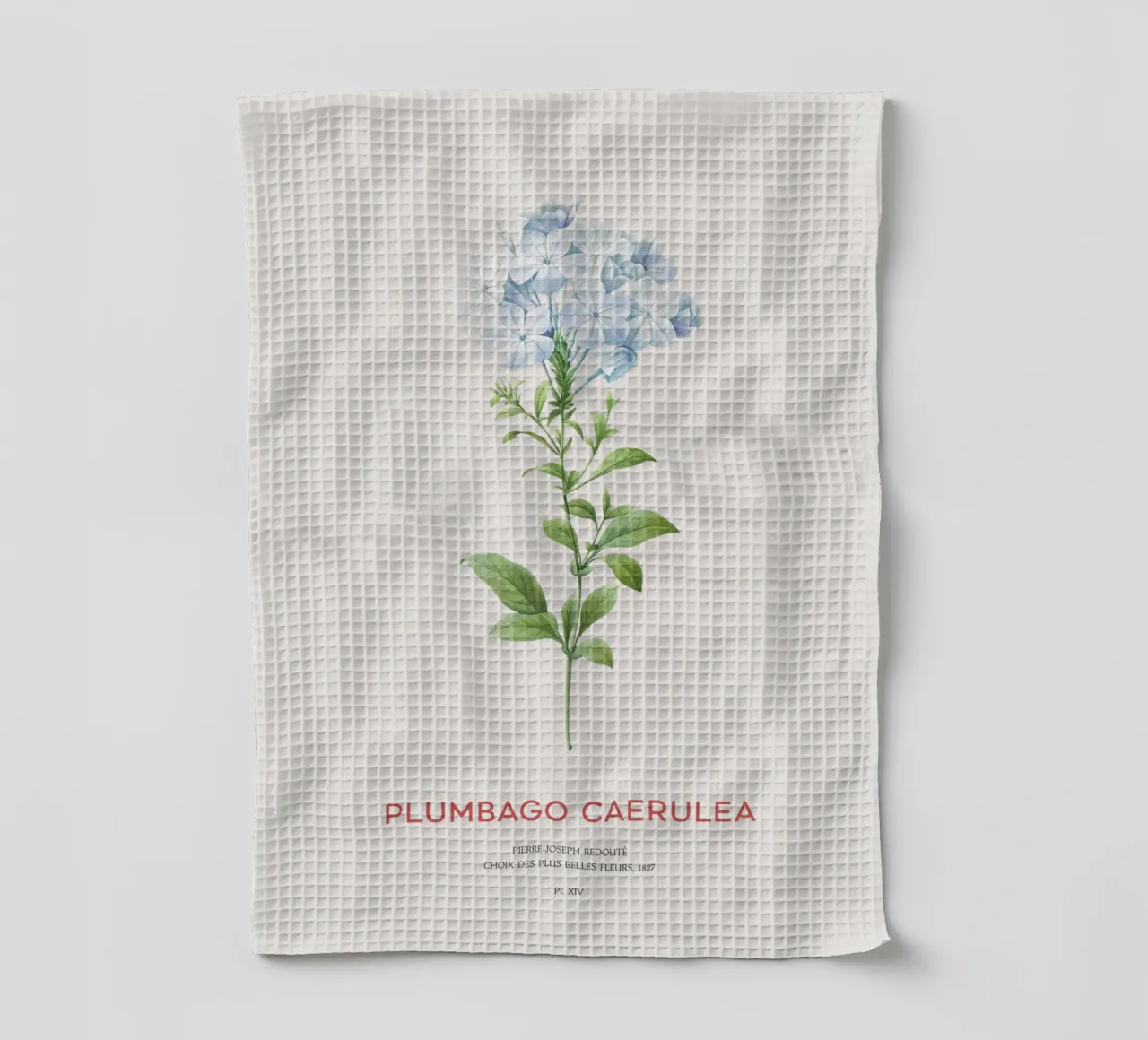 Bleiwurz oder Plumbago Caerulea Geschirrtuch von Vintagrafica