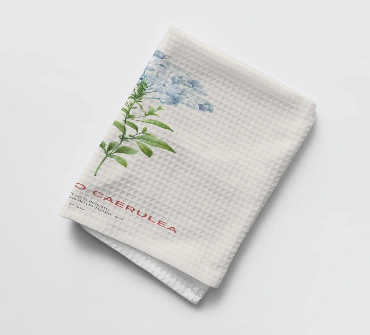 Bleiwurz oder Plumbago Caerulea Geschirrtuch von Vintagrafica