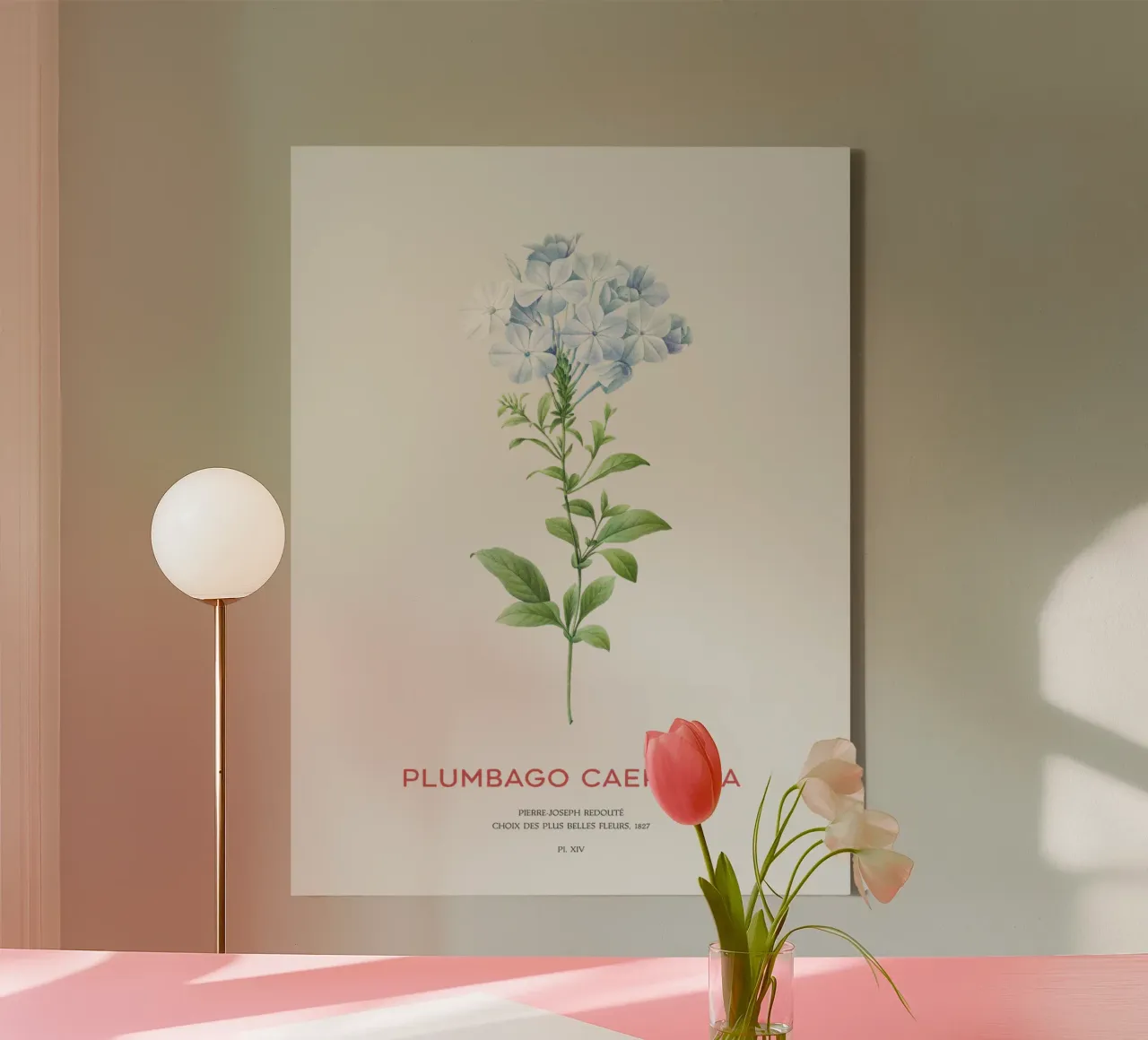 Bleiwurz oder Plumbago Caerulea Leinwand mit Schattenfugenrahmen von Vintagrafica