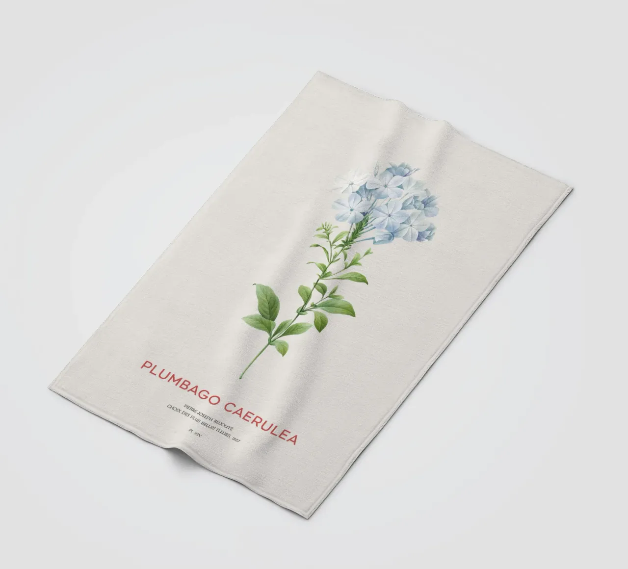 Bleiwurz oder Plumbago Caerulea Fleecedecke von Vintagrafica