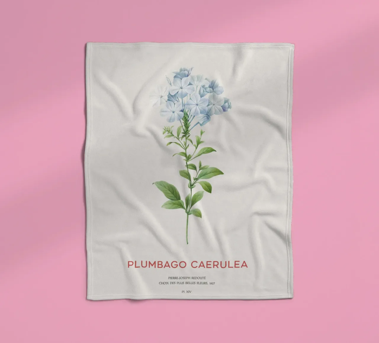 Bleiwurz oder Plumbago Caerulea Fleecedecke von Vintagrafica
