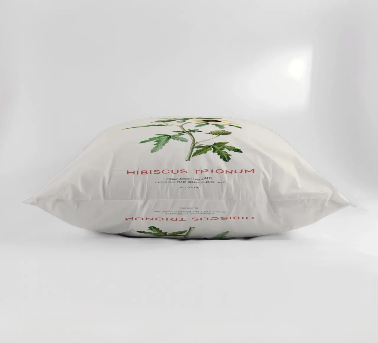 Venice mallow or Hibiscus Trionum flower decorative cushion by Vintagrafica