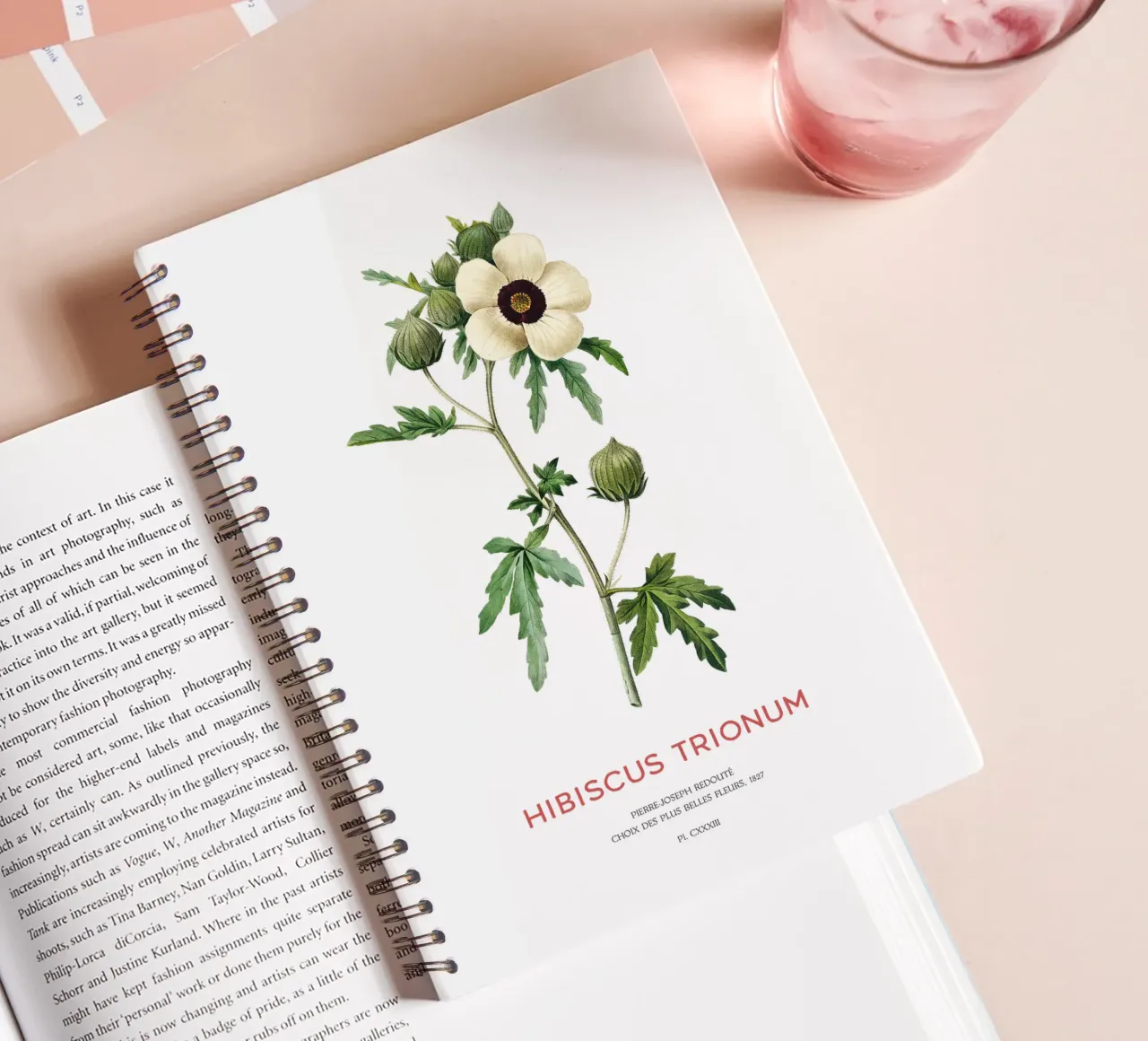 Venice mallow or Hibiscus Trionum flower spiral notebook by Vintagrafica