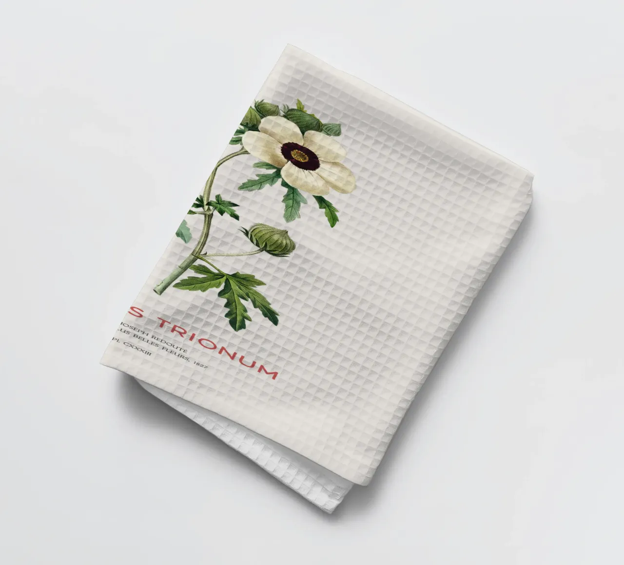 Malva di Venezia o fiore di Hibiscus Trionum canovaccio da cucina da Vintagrafica