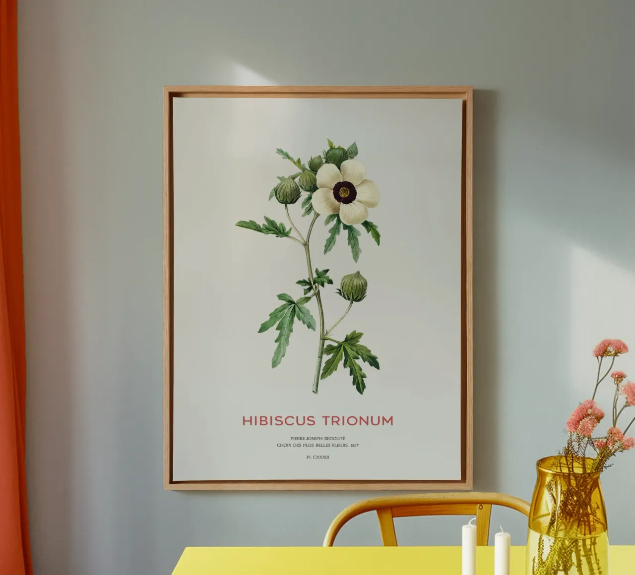 Malva di Venezia o fiore di Hibiscus Trionum tela con Cornice a cassetta da Vintagrafica