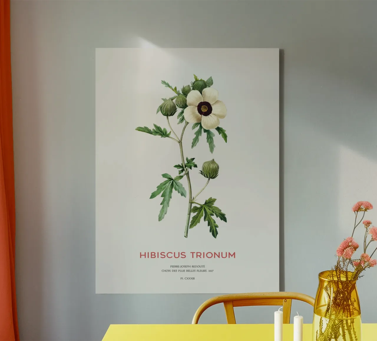 Malva di Venezia o fiore di Hibiscus Trionum tela con Cornice a cassetta da Vintagrafica